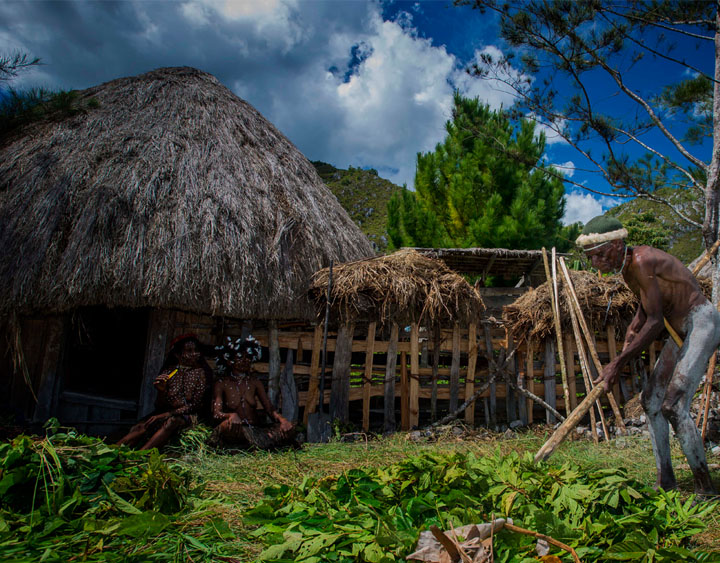 8 Days Papua - The Baliem Valley & Asmat Exploration 