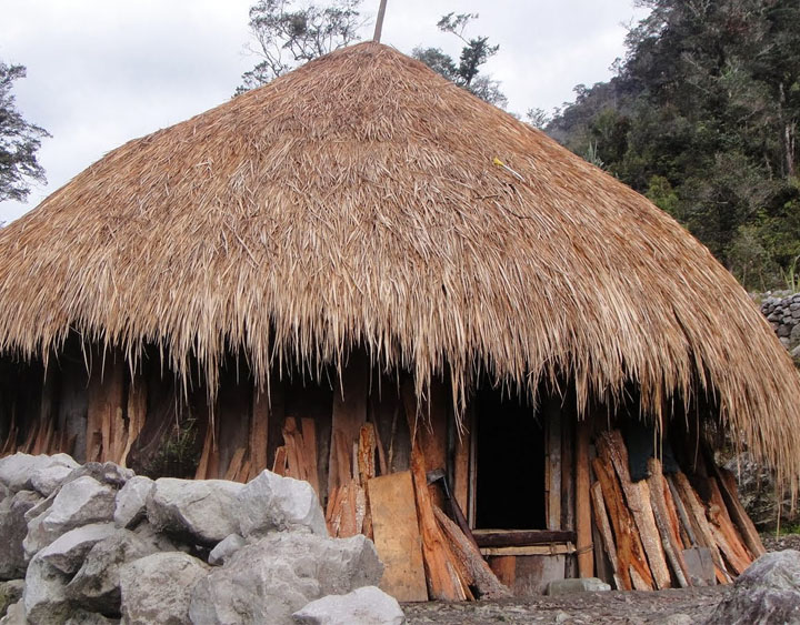 Dani villages