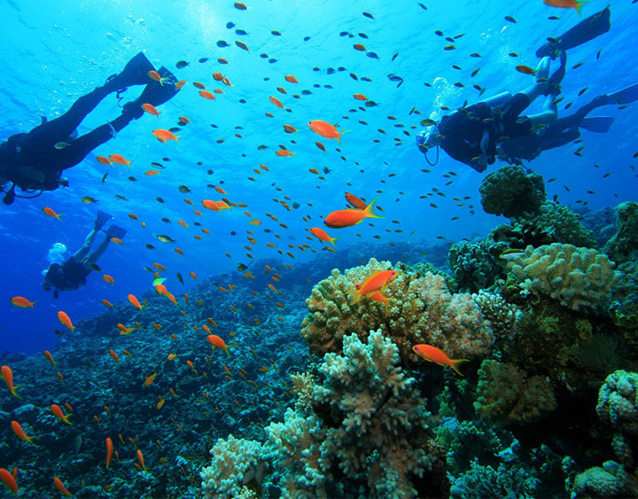 Diving