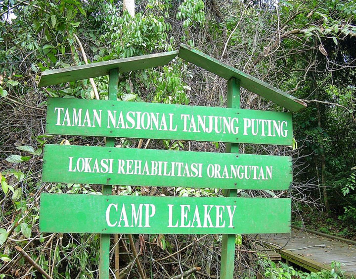 Camp Leakey