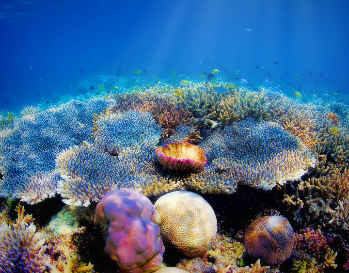 Pulau Besar